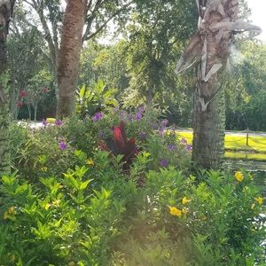 Meet your Posher, Martha